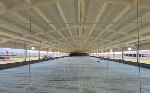 38C91985-0098-4761-9F08-AD6187E713C0